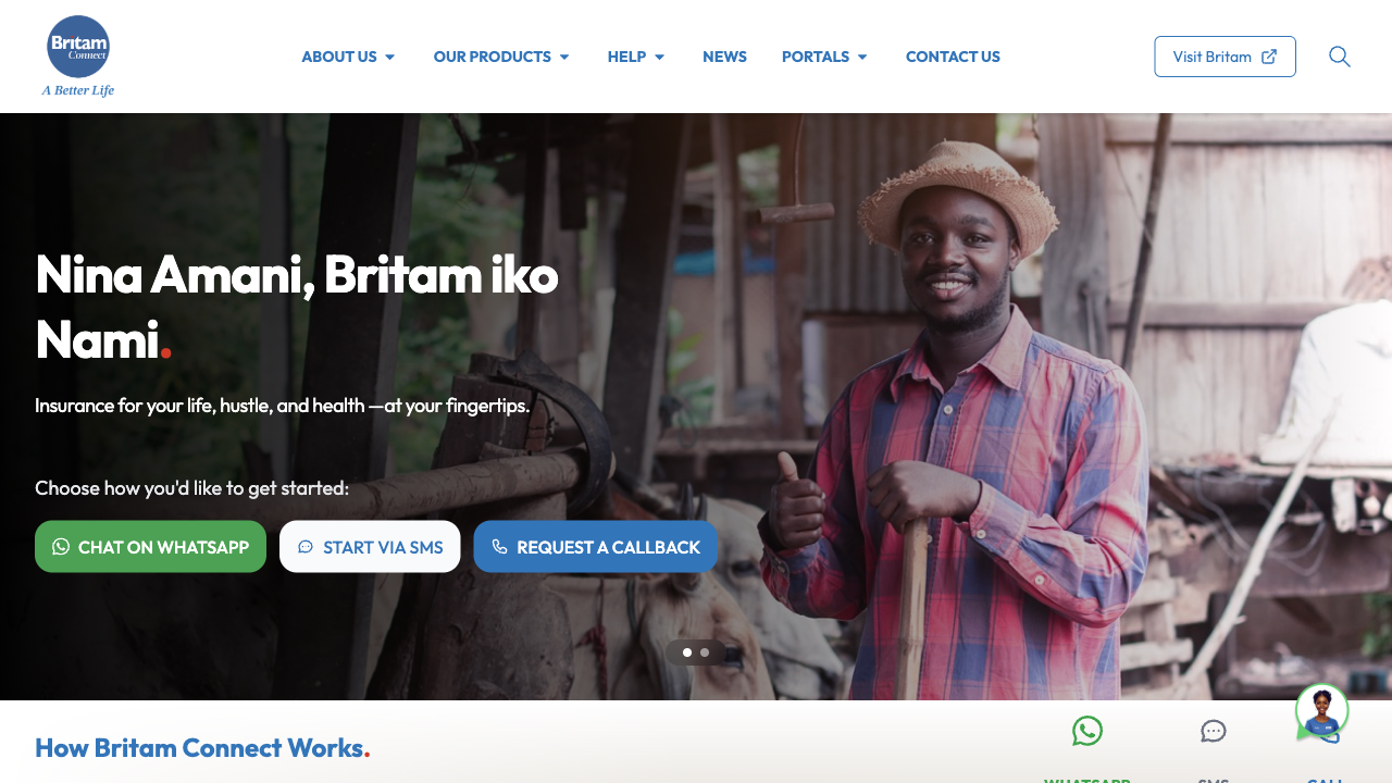 Connect Britam project screenshot